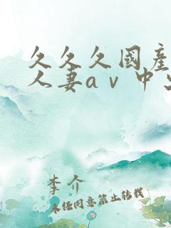 久久久国产精品人妻aⅴ中出