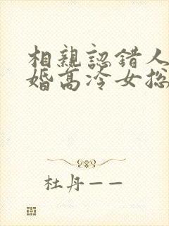 相亲认错人,闪婚高冷女总裁