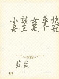 小说女尊快穿之妻主是个宠夫狂