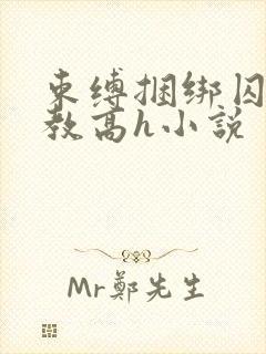 束缚捆绑囚禁调教高h小说