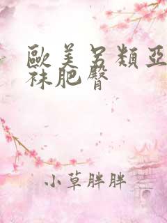 欧美另类亚洲丝袜肥臀