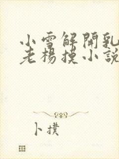 小雪解开乳罩给老杨摸小说