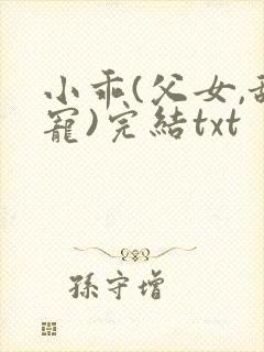 小乖(父女,甜宠)完结txt