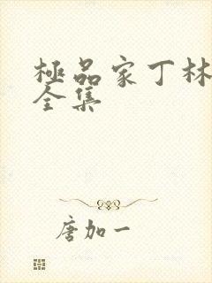 极品家丁林晚荣全集