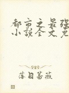 都市之最强狂兵小说全文免费