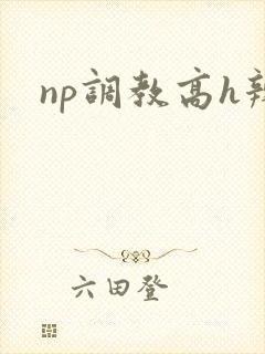 np调教高h辣