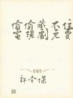 偷偷藏不住许你电视剧免费观看