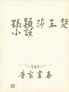 孙颖莎王楚钦的小说