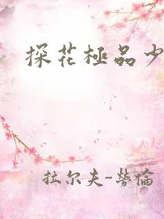 探花极品少妇