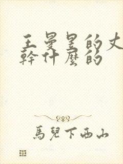 王曼昱的丈夫是干什么的