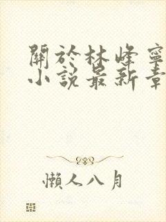 关于林峰宁欣的小说最新章节