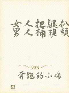 女人把腿扒开让男人桶视频