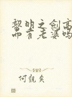 黎明之剑高文后面有老婆吗