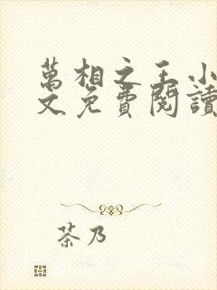 万相之王小说全文免费阅读无弹窗