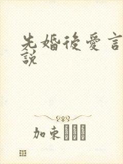 先婚后爱言情小说