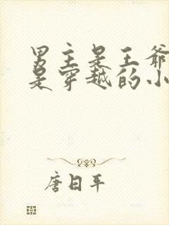 男主是王爷女主是穿越的小说