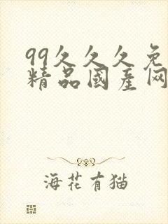 99久久久免费精品国产网站