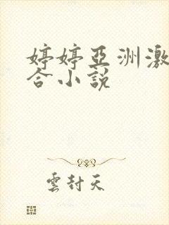 婷婷亚洲激情综合小说