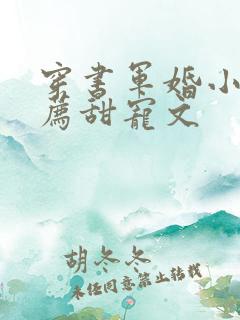 穿书军婚小说推荐甜宠文