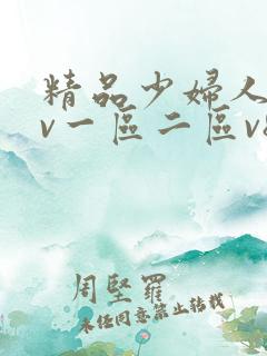 精品少妇人妻av一区二区v8