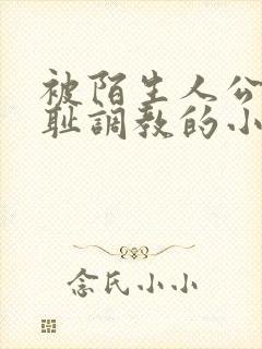 被陌生人公开羞耻调教的小说