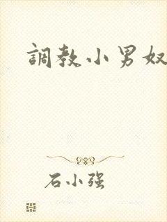 调教小男奴小说