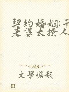 契约婚姻:千亿老婆太撩人沈浪小说叫什么