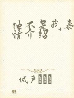 他不是我泰剧剧情介绍