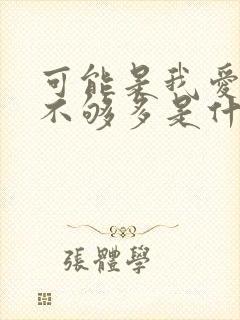 可能是我爱你还不够多是什么歌