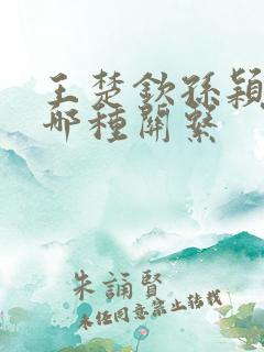 王楚钦孙颖莎是哪种关系