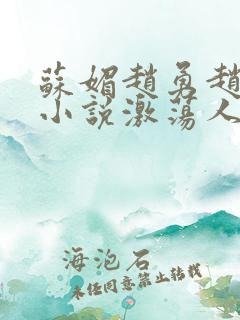 苏媚赵勇赵大宝小说激荡人生