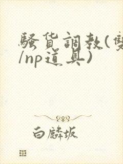 骚货调教(双性/np道具)