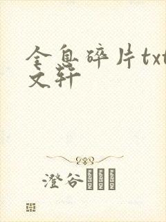 全息碎片txt文轩