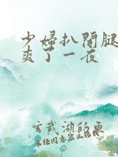 少妇扒开腿让我爽了一夜