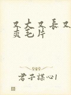 又大又长又粗又爽毛片