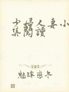 少妇人妻小说合集阅读