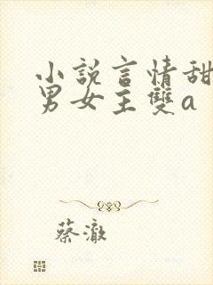 小说言情甜宠文男女主双a