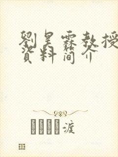 刘昊霖教授个人资料简介