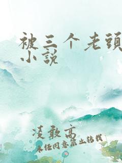 被三个老头调教小说