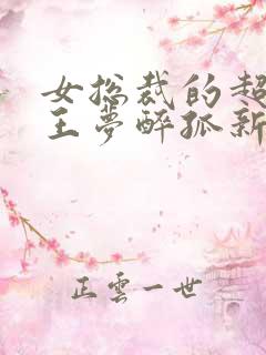 女总裁的超级兵王梦醉孤新