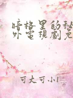 暗格里的秘密番外电视剧免费观看