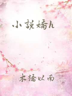 小说娇h