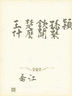 王楚钦孙颖莎是什么关系