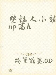 双性人小说纯肉np高h