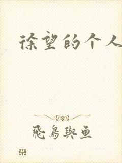 徐望的个人简介