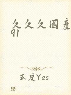 久久久国产精品91