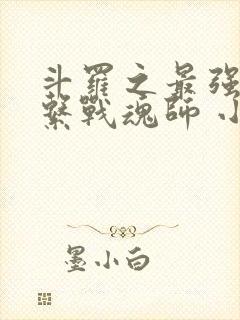 斗罗之最强辅助系战魂师 小说