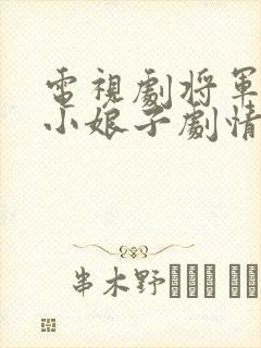 电视剧将军家的小娘子剧情介绍