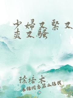 少妇又紧又大又爽又骚