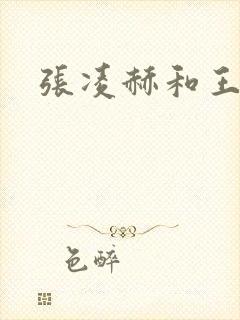 张凌赫和王鹤棣